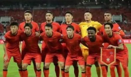 现役球员爆料最新消息视频,揭秘赛场幕后真相